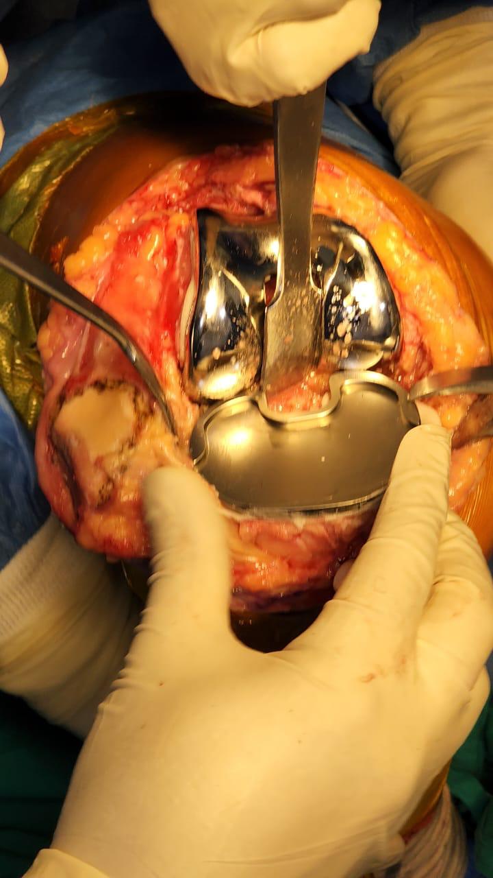 WhatsApp Image 2026-02-02 at 8.26.23 PM (1)