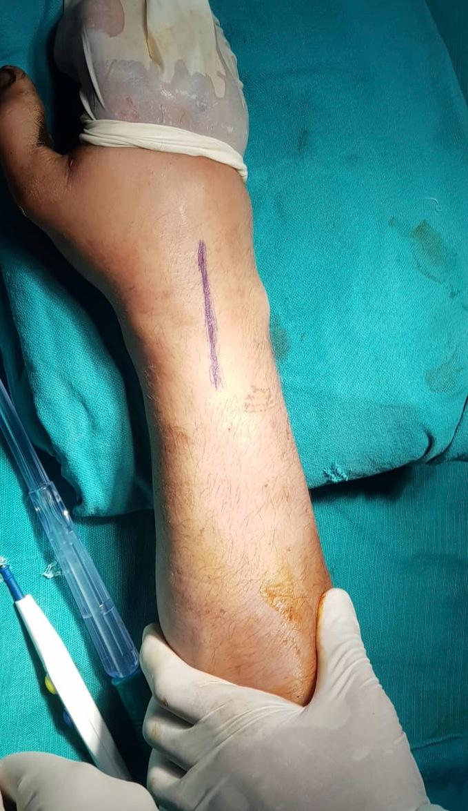 WhatsApp Image 2026-02-02 at 8.31.26 PM (2)