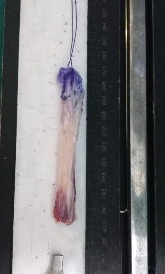 WhatsApp Image 2026-02-02 at 8.32.32 PM (1)