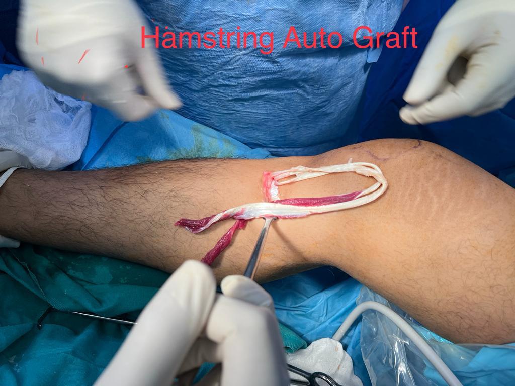 WhatsApp Image 2026-02-02 at 8.32.32 PM (2)