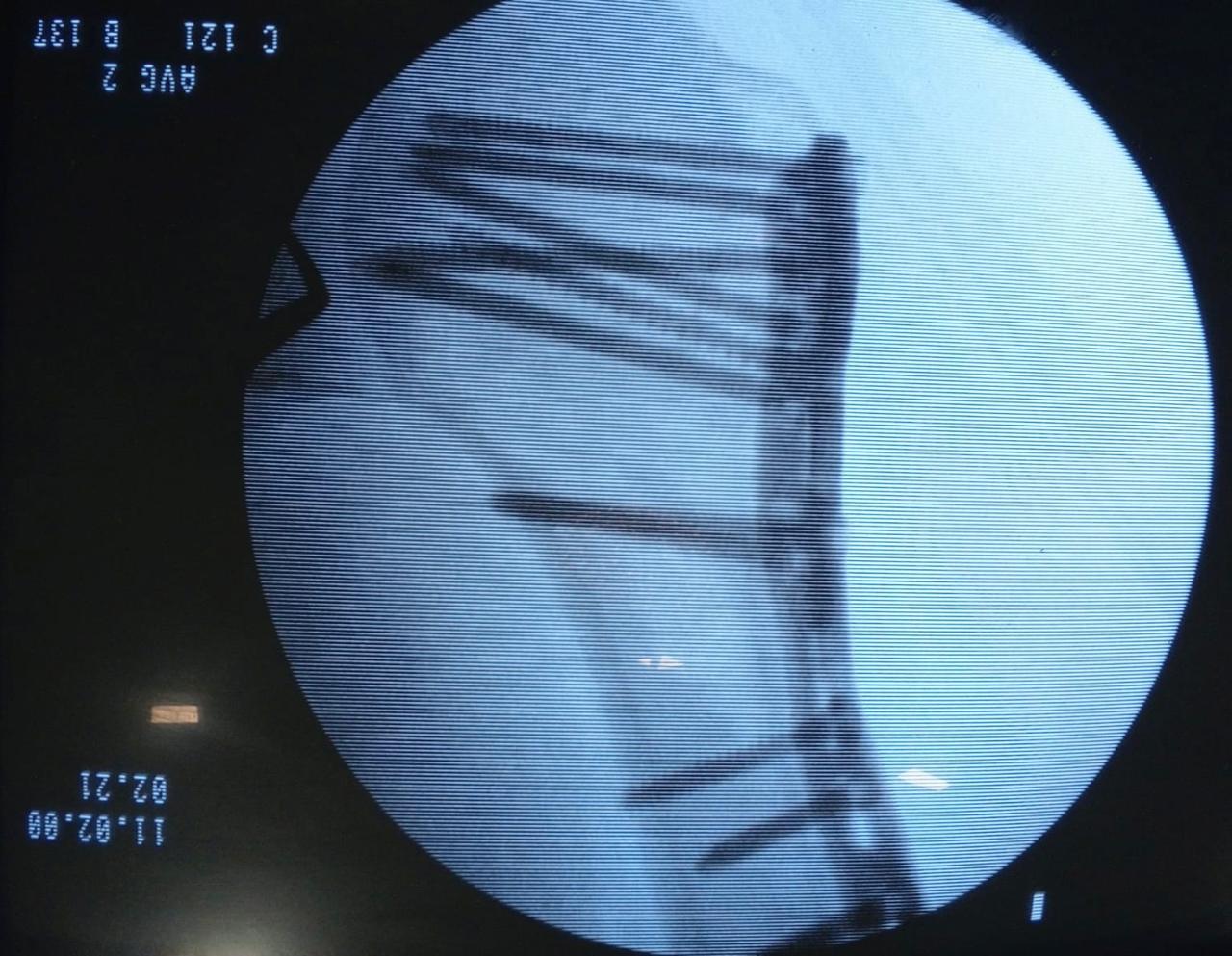 WhatsApp Image 2026-02-03 at 11.58.01 AM